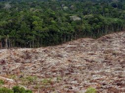 El país alberga entre el 5 y el 10 por ciento de la biodiversidad del planeta. EFE  /