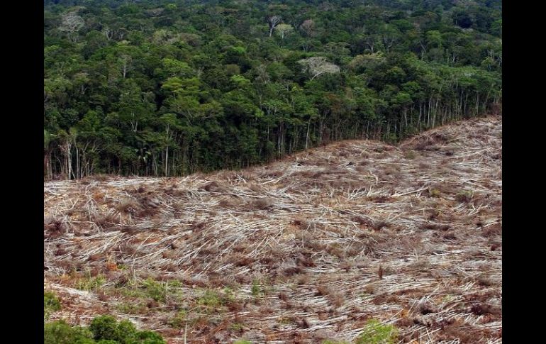 El país alberga entre el 5 y el 10 por ciento de la biodiversidad del planeta. EFE  /