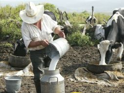 En acuerdo entre lecheros y empresas procesadoras, el ganadero puede llevar hasta 45 centavos adicionales por litro. ARCHIVO  /