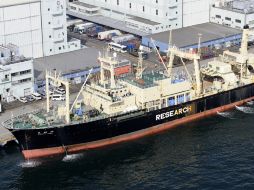 Los barcos Sea Shepherd atracan de forma regular en puertos de Australia y Nueva Zelanda. REUTERS  /