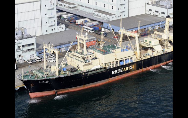 Los barcos Sea Shepherd atracan de forma regular en puertos de Australia y Nueva Zelanda. REUTERS  /