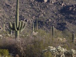 Es nuestra obligación el mantener las condiciones de cualquier lugar lo más similares a como estaban antes. AP  /