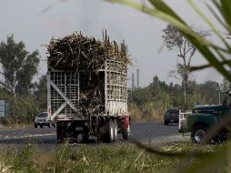 Cosecha de caña en Tala, México no estima hasta ahora realizar importaciones de azúcar durante el ciclo. E.PACHECO  /