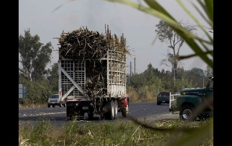 Cosecha de caña en Tala, México no estima hasta ahora realizar importaciones de azúcar durante el ciclo. E.PACHECO  /