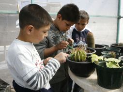 Las instalaciones del albergue cuentan con un invernadero, en donde los pequeños aprenden a cuidar la Naturaleza. M. FREYRÍA  /