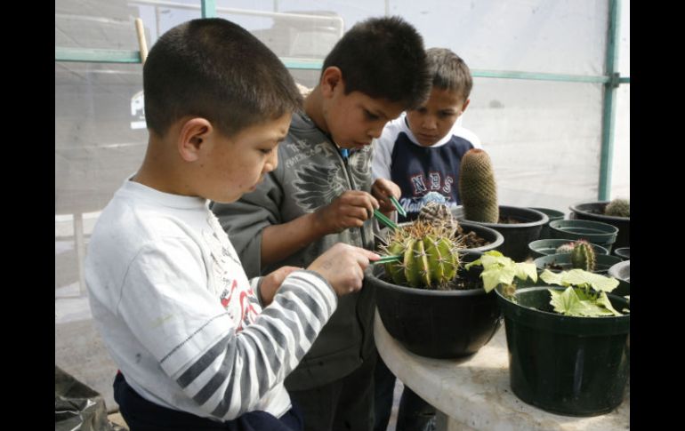 Las instalaciones del albergue cuentan con un invernadero, en donde los pequeños aprenden a cuidar la Naturaleza. M. FREYRÍA  /