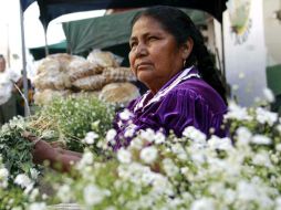 Las mujeres indígenas han llevado reposicionándose en el ámbito local, estatal y regional. EL INFORMADOR ARCHIVO  /