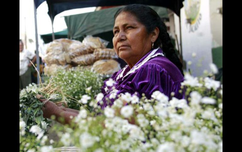 Las mujeres indígenas han llevado reposicionándose en el ámbito local, estatal y regional. EL INFORMADOR ARCHIVO  /