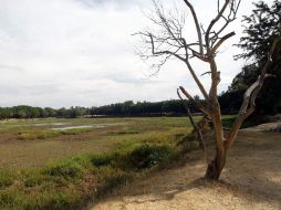 El Deán mide 26 hectáreas, y en él hay un vaso acuífero regulador cuyo propósito es encausar las aguas pluviales. EL INFORMADOR  /