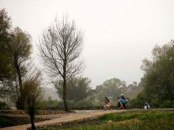 Los principales puntos a los que migran las familias de isla de Urandén son Guadalajara, Ciudad de México y EU. E. PACHECO  /