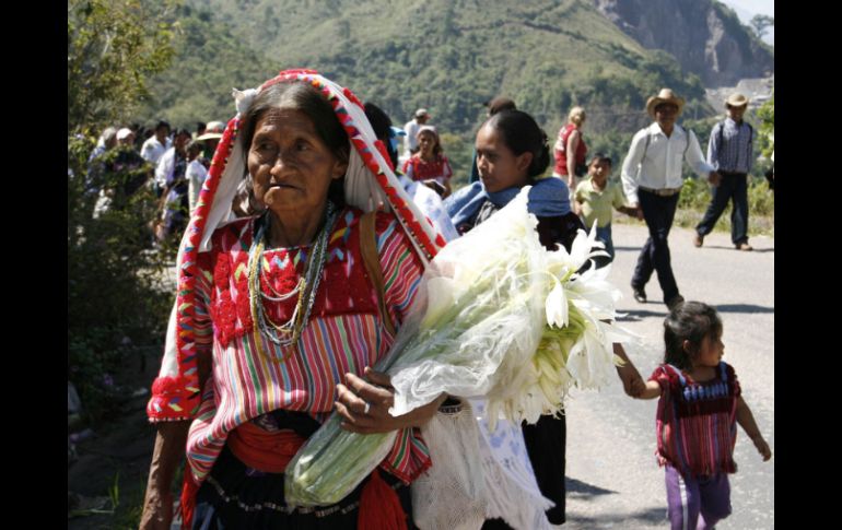 Pretenden lograr el uso y fortalecimiento de los dialectos nativos de Chiapas. EFE  /