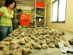 El Museo de Paleontología cuenta desde hace una década con el Centro de Investigación, espacio a los investigadores. E.BARRERA  /