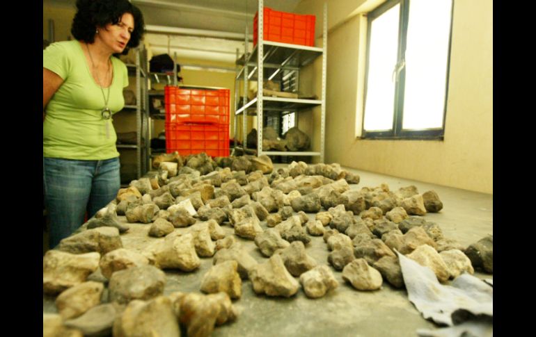 El Museo de Paleontología cuenta desde hace una década con el Centro de Investigación, espacio a los investigadores. E.BARRERA  /