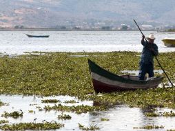 Son 192 pescadores los que dependen de la Laguna de Cajititlán para mantener a sus familias. ARCHIVO  /