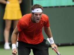 Juan Martín del Potro celebra tras ganarle al alemán Philipp Kohlschreiber. EFE  /