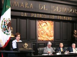 Al comparecer ante el Senado, la canciller Patricia Espinosa dijo que se actúa en función de intereses nacionales. EL UNIVERSAL  /