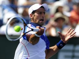 El tenista serbio Novak Djokovic se metió a las semifinales del torneo. EFE  /