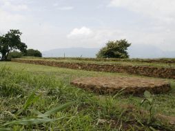 La cita es en la Explanada de la Zona Arqueológica Guachimontones. ARCHIVO EL INFORMADOR  /