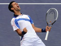 El tenista serbio, Novak Djokovic tras vencer al número uno del mundo. AFP  /