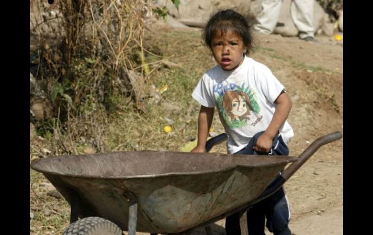 El cultivo de caña y hortalizas representan una fuente de explotación laboral en los municipios de la Costa Sur de Jalisco. ARCHIVO  /