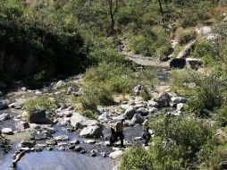 Destacan también su importancia para combatir el cambio climático. A.GARCÍA  /