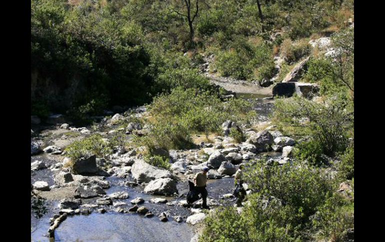 Destacan también su importancia para combatir el cambio climático. A.GARCÍA  /