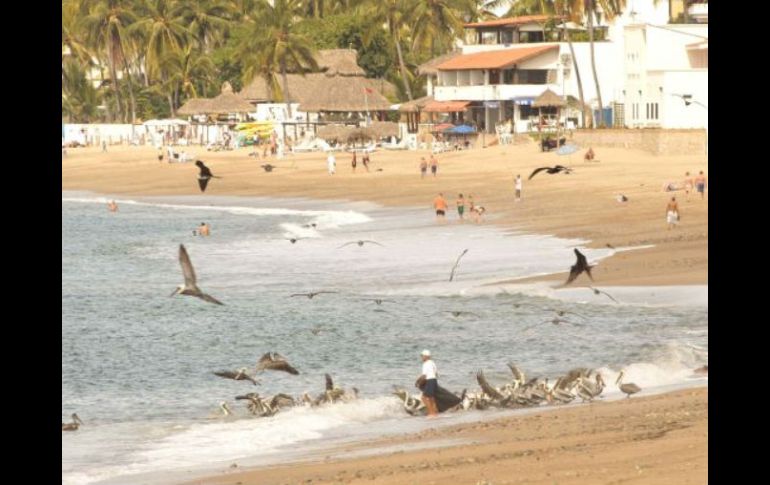 La Secretaría de Salud Jalisco ha realizado 30 muestras en 10 playas del puerto y los resultados han sido favorables. ARCHIVO  /