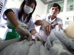 Dos empleados de la Oficina de Drogas y Alimentos de Taiwán toman muestras a pescados  provenientes de Japón. REUTERS  /