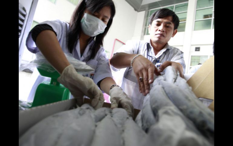 Dos empleados de la Oficina de Drogas y Alimentos de Taiwán toman muestras a pescados  provenientes de Japón. REUTERS  /