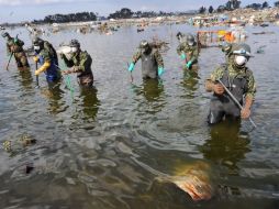 El agua contaminada podría afectar rápidamente regionesm vecinas coo Miyagi (en la foto). AFP  /