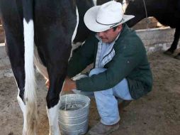 Este aumento en el costo de la leche fluida, podría incidir en un ingreso de hasta cinco pesos por litro . ARCHIVO  /