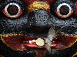 Un pájaro coge comida de la boca de la estatua de Kal Bhairab, el dios hindú de la destrucción, en la Plaza Durbar de Katmandú. AFP  /