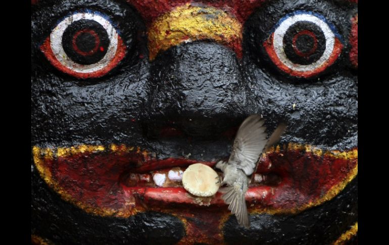 Un pájaro coge comida de la boca de la estatua de Kal Bhairab, el dios hindú de la destrucción, en la Plaza Durbar de Katmandú. AFP  /