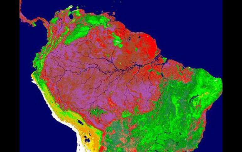 Las selvas tropicales, y la amazónica especialmente, sólo un gran depósito de carbono. EFE  /