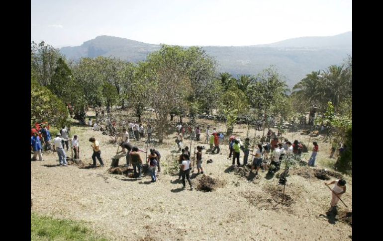 Los jóvenes también buscan ''fortalecer la relación entre naturaleza y personas''. E.PACHECO  /