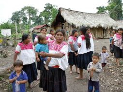 De 2000 a 2005 se incrementó la matrícula de niños indígenas en las escuelas. ARCHIVO  /