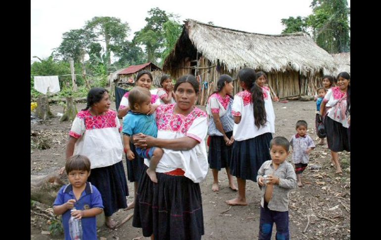 De 2000 a 2005 se incrementó la matrícula de niños indígenas en las escuelas. ARCHIVO  /