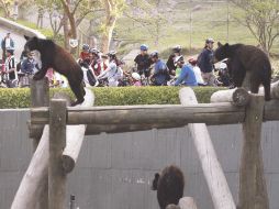 El grupo de ciclistas recorrió las instalaciones del zoológico a primera hora. ESPECIAL  /