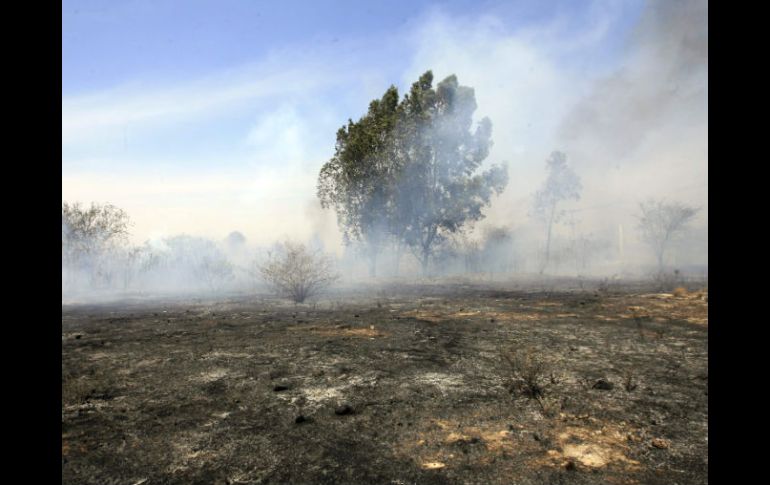 El incendio en la Sierra de Tesistán inició la madrugada del viernes pasado. A. GARCÍA  /