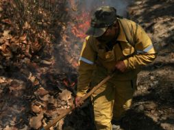 En un inicio los brigadistas denunciaron nulo apoyo luego de combatir el fuego por más de 24 horas sin víveres ni agua. A. HINOJOSA  /