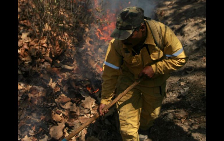 En un inicio los brigadistas denunciaron nulo apoyo luego de combatir el fuego por más de 24 horas sin víveres ni agua. A. HINOJOSA  /