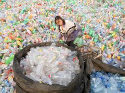 Las obras fueron realizadas con 29 mil 150 botellas. EFE  /