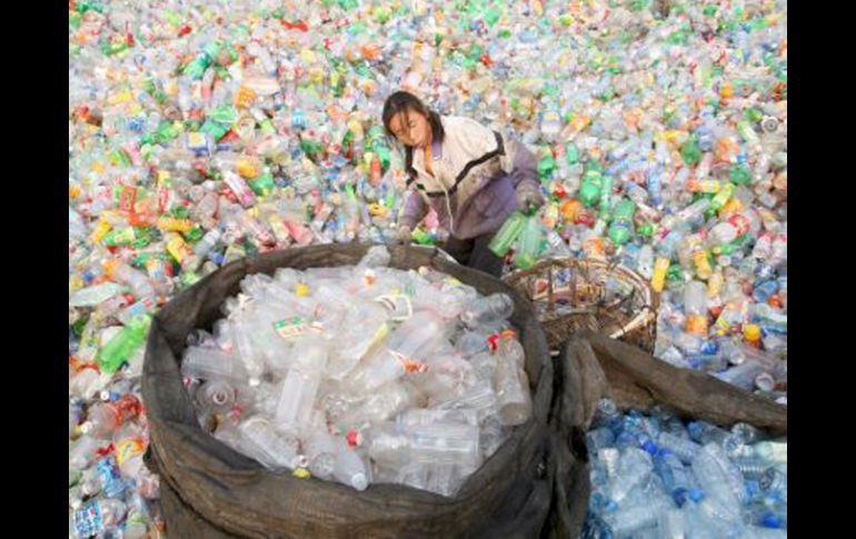 Las obras fueron realizadas con 29 mil 150 botellas. EFE  /