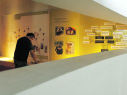 El Museo de Paleontología ofrece la exposición ''Vestigios para aportar soluciones''. ARCHIVO  /