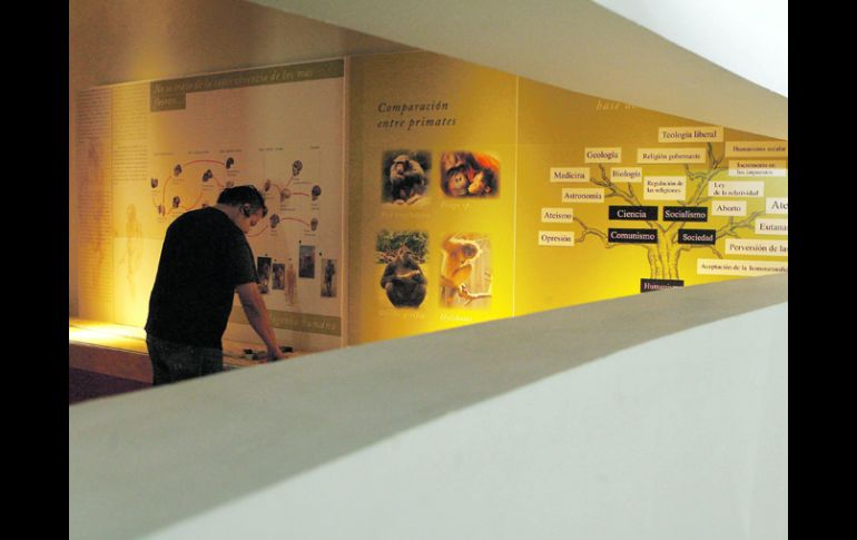 El Museo de Paleontología ofrece la exposición ''Vestigios para aportar soluciones''. ARCHIVO  /