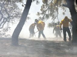 Los brigadistas tendrán más equipo para su seguridad a la hora de atender incendios. ARCHIVO  /