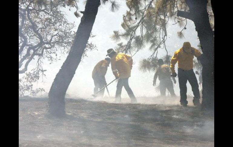 Los brigadistas tendrán más equipo para su seguridad a la hora de atender incendios. ARCHIVO  /