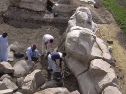 Actualmente se realiza la limpieza y restauración de la pieza. AP  /