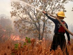 El alcalde zapopano dijo que se actuará conforme a la ley en contra de quien ocasione incendios. A. HINOJOSA  /