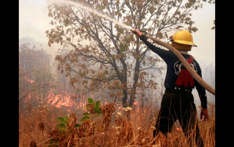 El alcalde zapopano dijo que se actuará conforme a la ley en contra de quien ocasione incendios. A. HINOJOSA  /